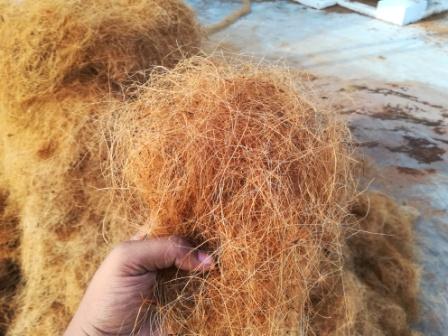 Sri Jayanthi Coirs Coco Fiber Manufacturing Factory